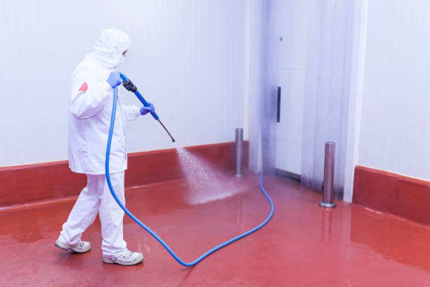 Best Playground Equipment Cleaning  in Fox Crossing, WI